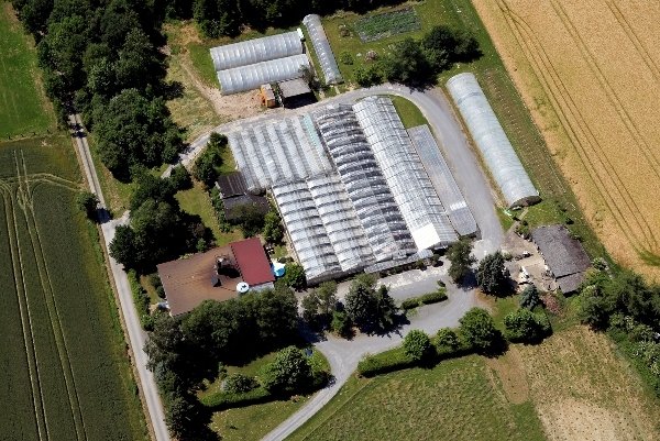 Luftbild der Gärtnerei Stahl mit ihren Gewächshäusern